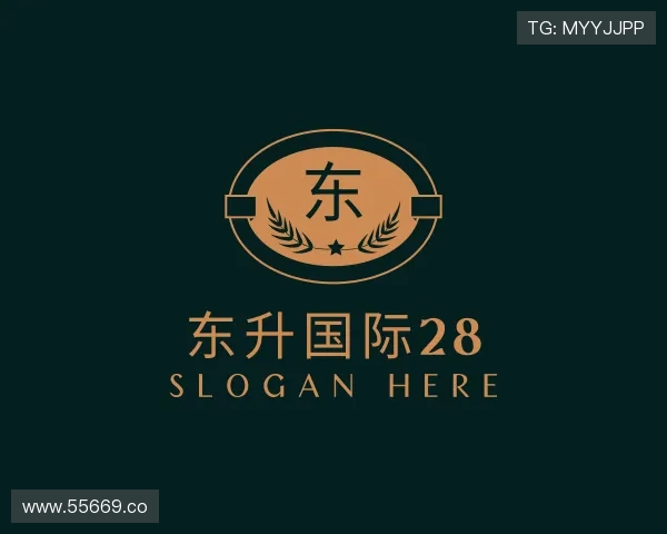 认识东升国际28